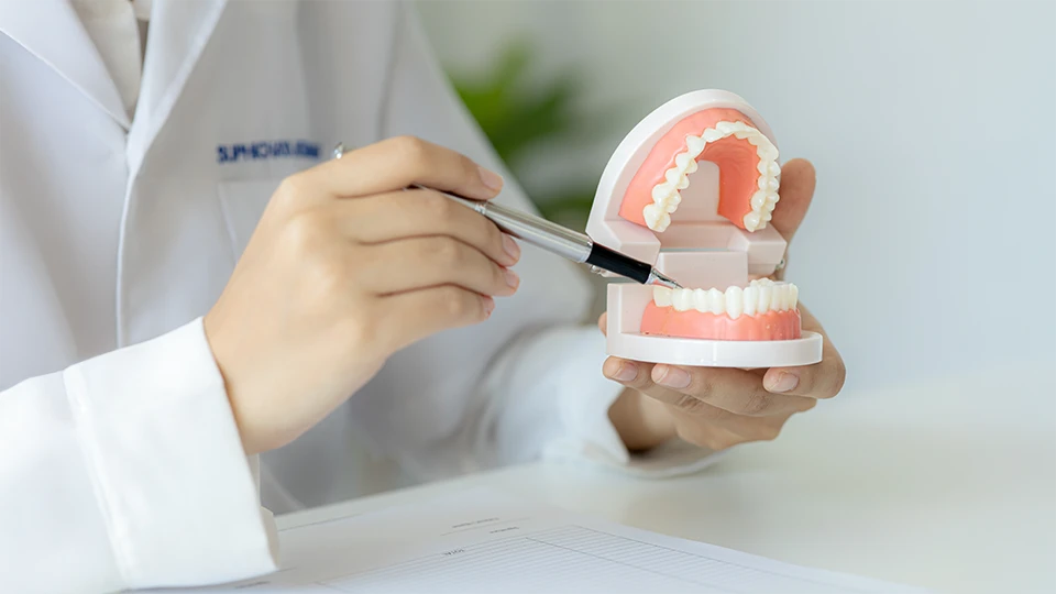 Qué es una endodoncia